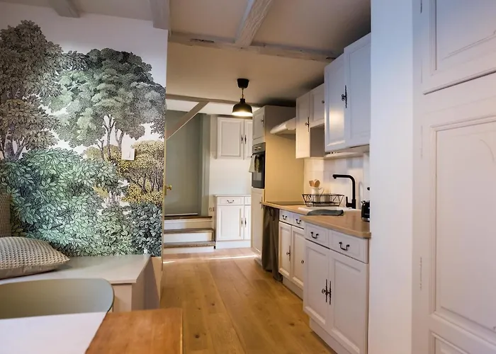 Le Cocon De Jules 公寓 科尔马