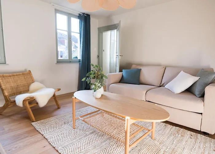 Le Cocon De Jules 科尔马